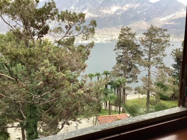 Wonderful Lake Front Appartment Near Bellagio Limonta Dış mekan fotoğraf